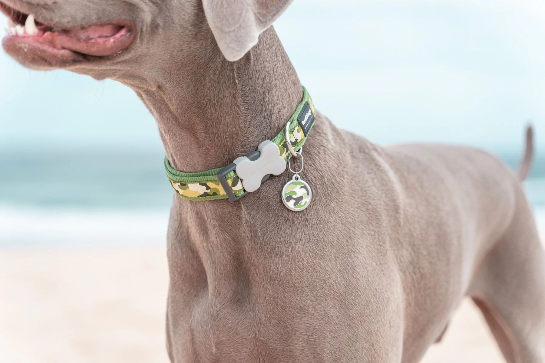 Red Dingo ID Tag Camouflage - Image 2