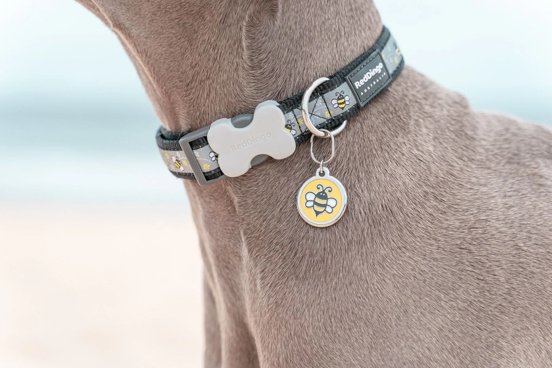 Red Dingo ID Tag Bumble Bee - Image 2