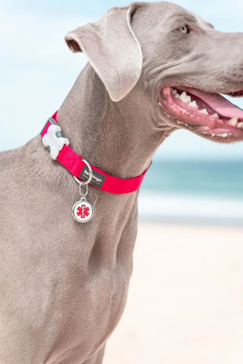 Red Dingo ID Tag Medical - Image 3