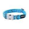 Red Dingo Dog Collar Bumble Bee Turquoise
