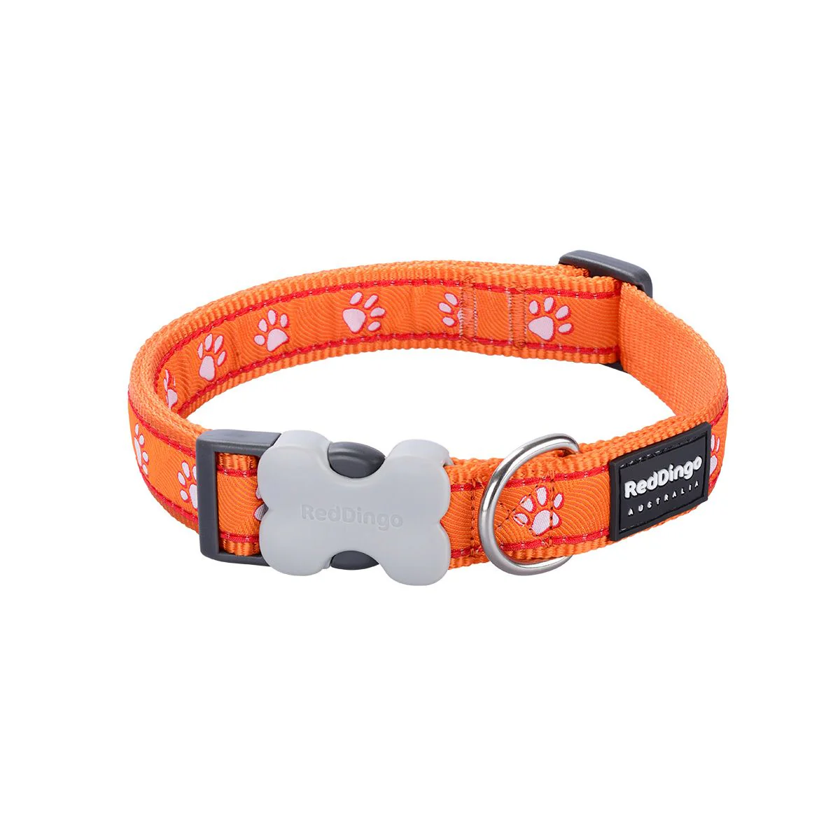 Red Dingo Dog Collar Desert Paws Orange