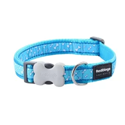 Red Dingo Dog Collar Flying Bones Turquoise