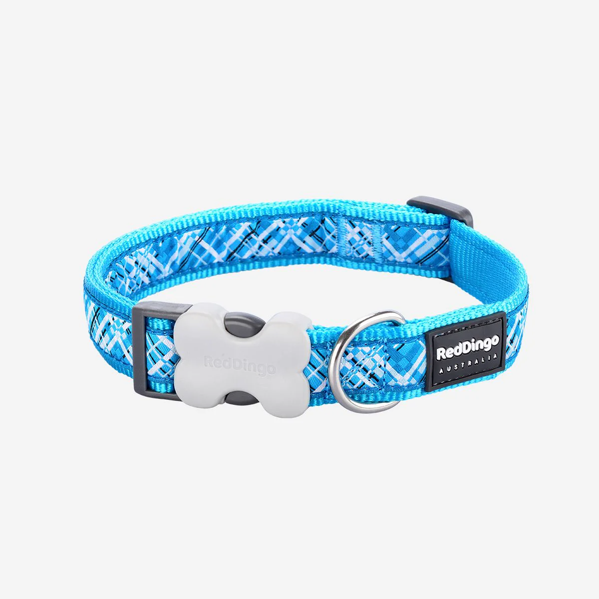 Red Dingo Dog Collar Flanno Turquoise - Image 10