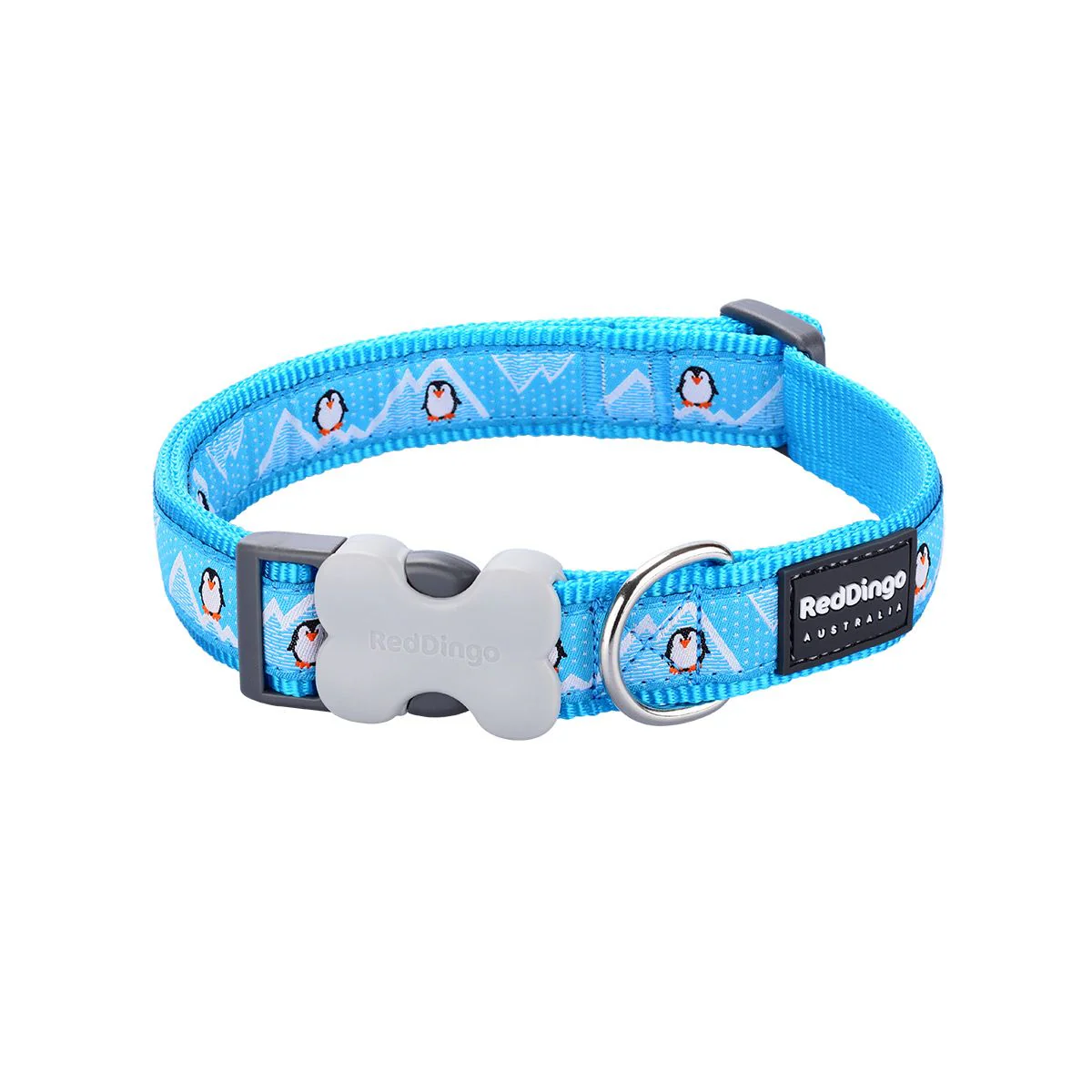 Red Dingo Dog Collar Penguin Turquoise - Image 3