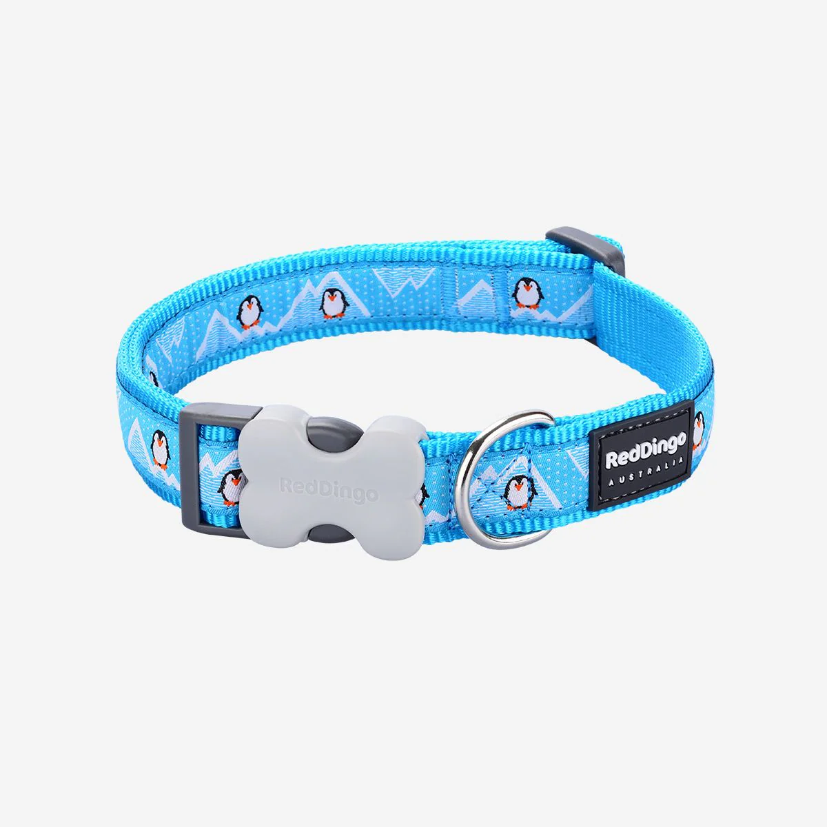 Red Dingo Dog Collar Penguin Turquoise - Image 4