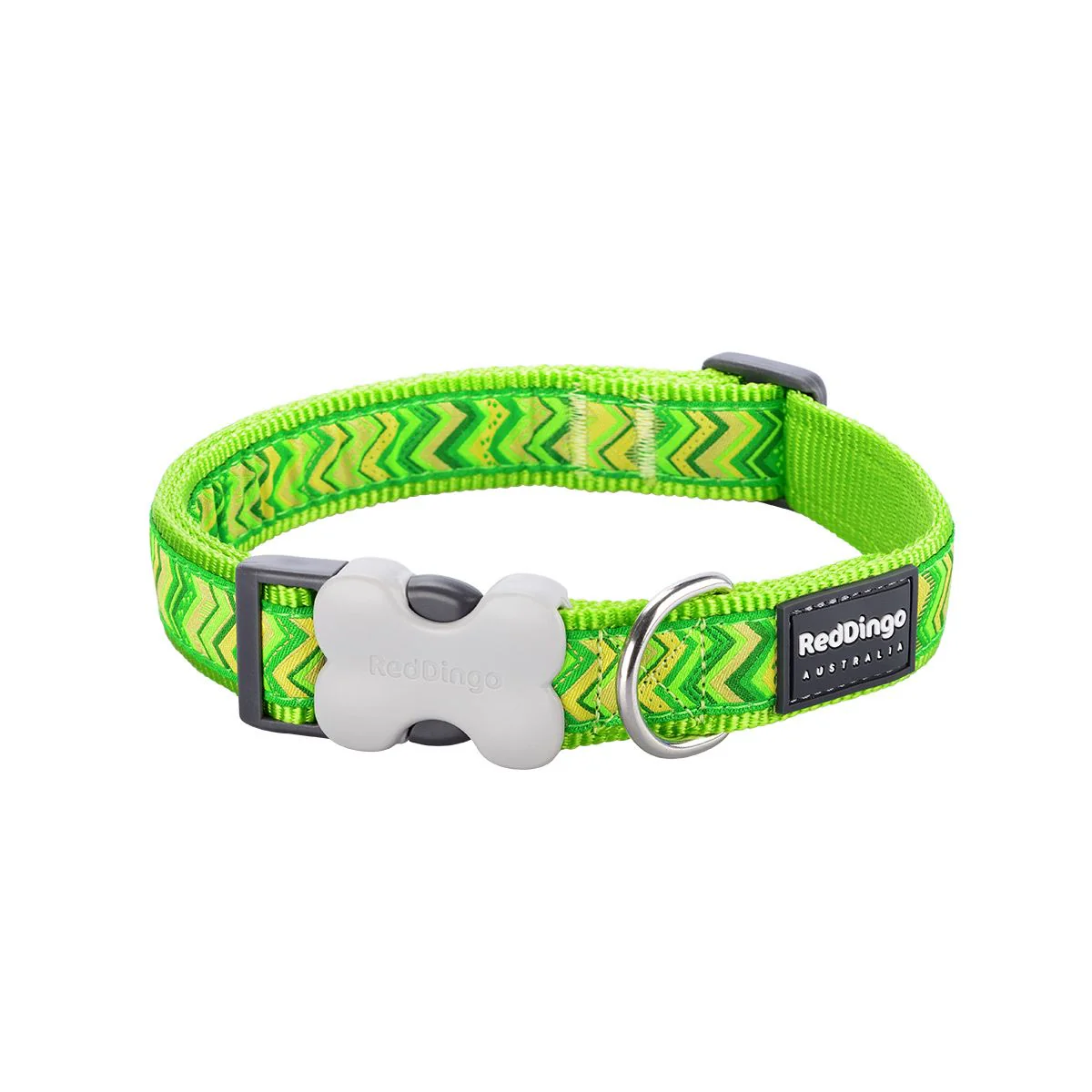 Red Dingo Dog Collar Pizzazz Lime Green
