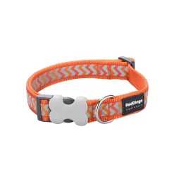 Red Dingo Dog Collar Reflective Ziggy Orange