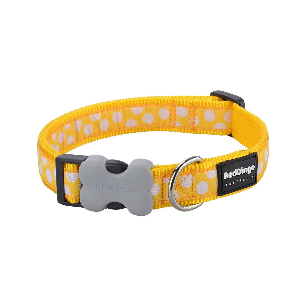 Red Dingo Dog Collar White Spots On Yellow - Image 9
