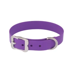 Red Dingo Waterproof Dog Collar VIVID Purple