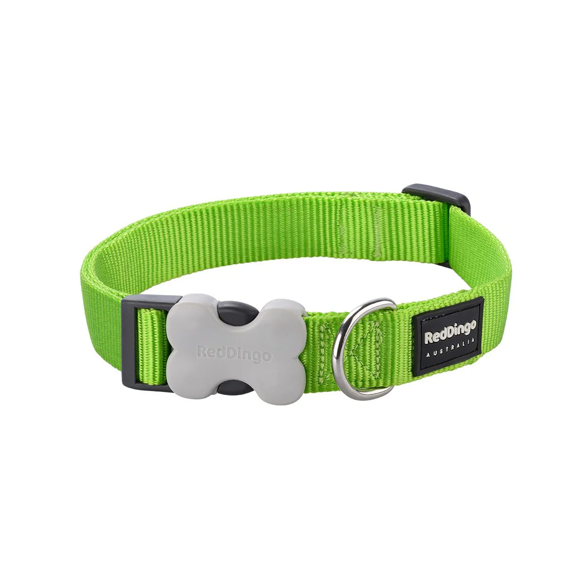 Red Dingo Dog Collar Plain Lime Green - Image 12