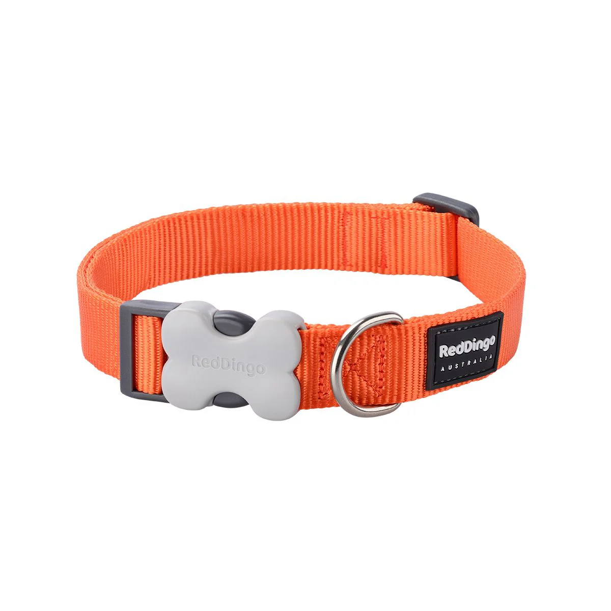 Red Dingo Dog Collar Plain Orange - Image 7