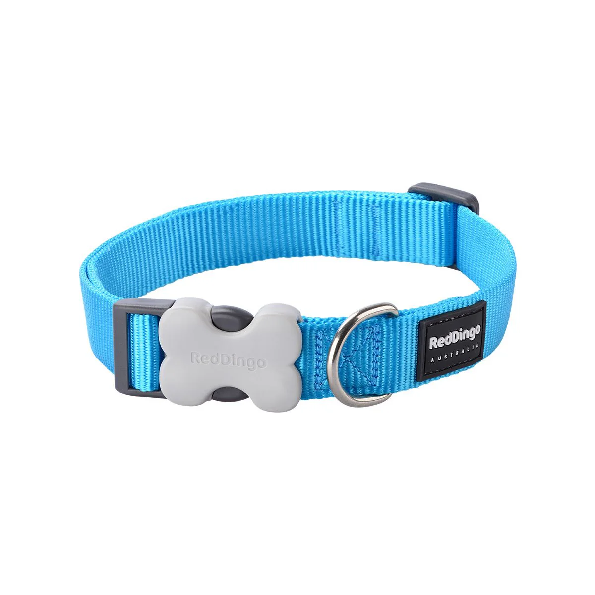 Red Dingo Dog Collar Plain Turquoise - Image 12