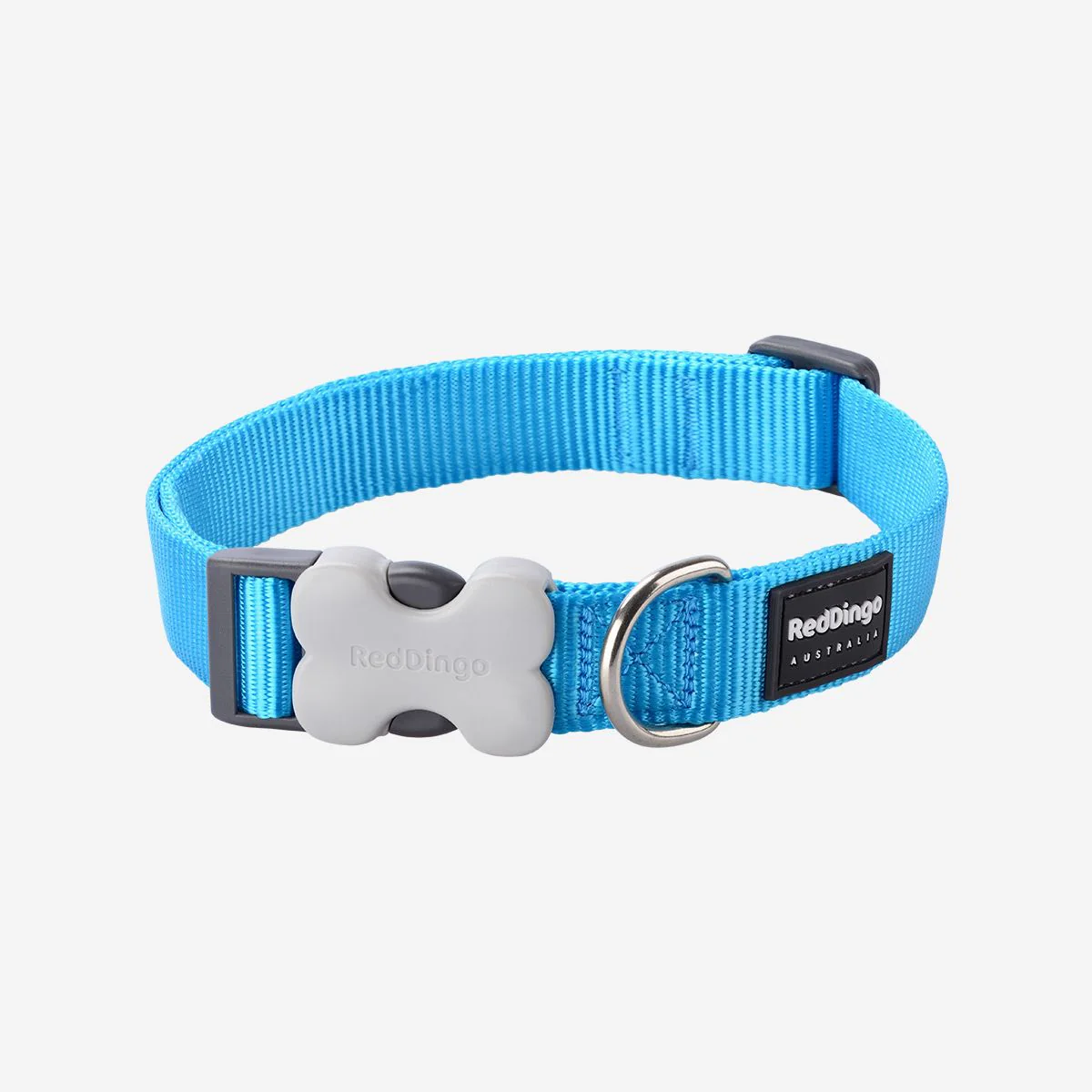 Red Dingo Dog Collar Plain Turquoise - Image 10