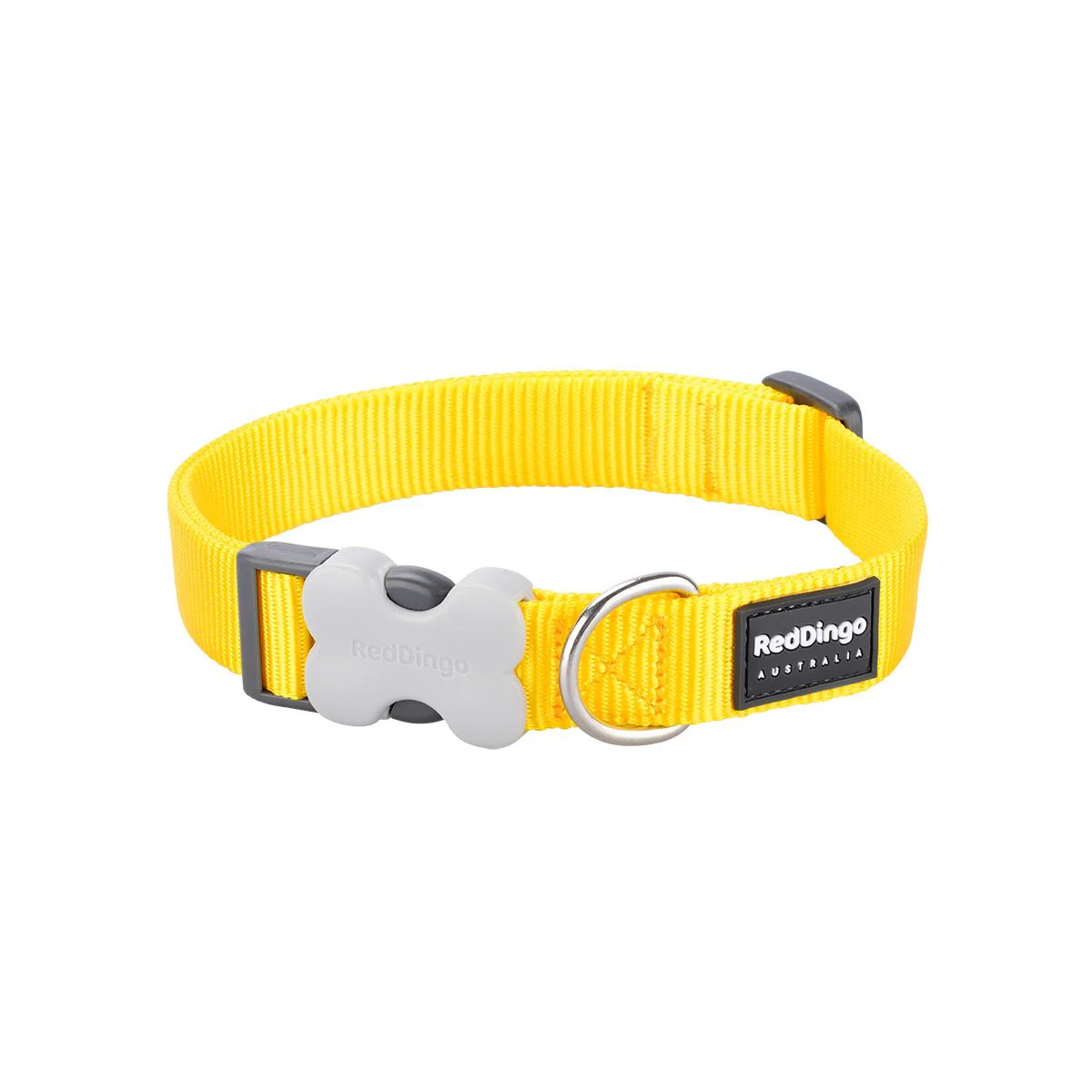 Red Dingo Dog Collar Plain Yellow - Image 12