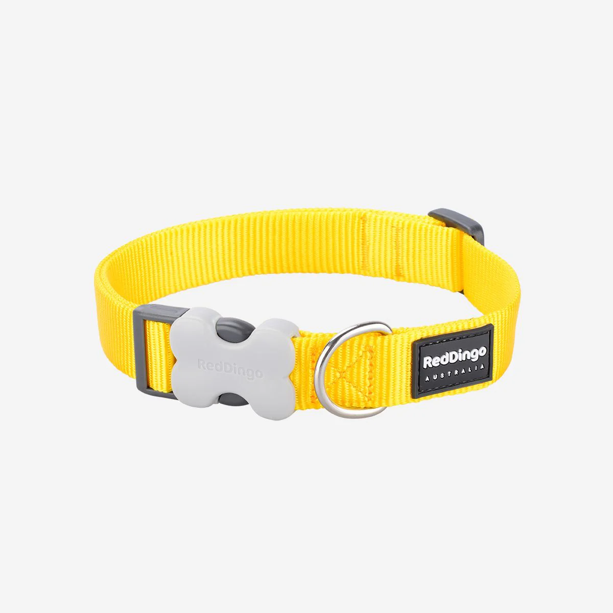 Red Dingo Dog Collar Plain Yellow - Image 13