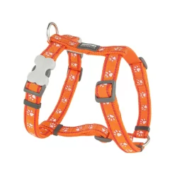 Red Dingo Dog Harness Desert Paws Orange