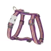 Red Dingo Dog Harness Dreamstream Purple