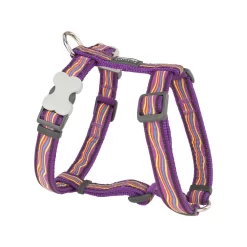 Red Dingo Dog Harness Dreamstream Purple