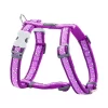 Red Dingo Dog Harness Flying Bones Purple