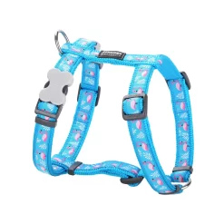 Red Dingo Dog Harness Flamingo Turquoise