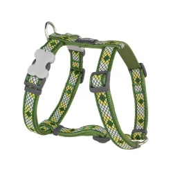 Red Dingo Dog Harness Monty Green