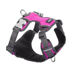 Red Dingo Padded Dog Harness Hot Pink