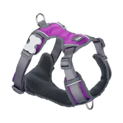 Red Dingo Padded Dog Harness Purple