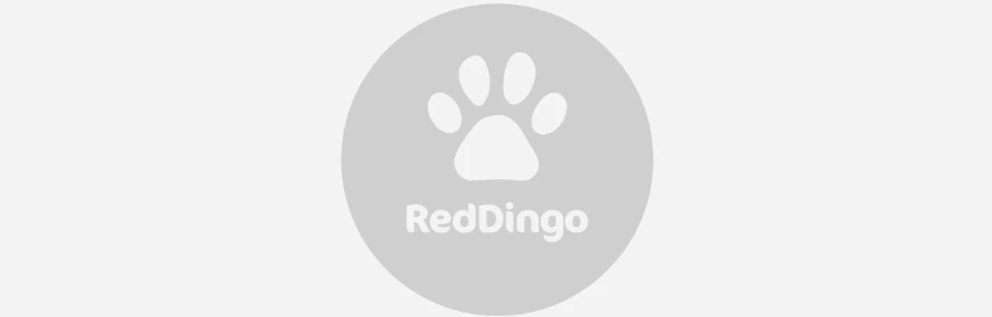 Red Dingo Padded Dog Harness Red - Image 13