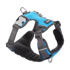 Red Dingo Padded Dog Harness Turquoise