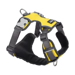 Red Dingo Padded Dog Harness Yellow