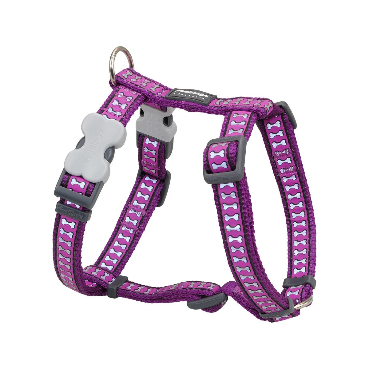 Red Dingo Dog Harness Reflective Bones Purple - Image 16