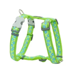 Red Dingo Dog Harness Stars Turquoise On Lime Green