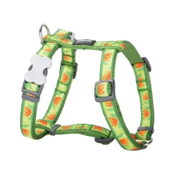 Red Dingo Dog Harness Tropical Green