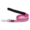 Red Dingo Dog Lead Horizontal Stripes Hot Pink