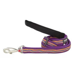 Red Dingo Adjustable Dog Lead Dreamstream Purple