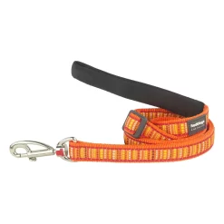 Red Dingo Adjustable Dog Lead Lotzadotz Orange
