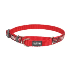 Red Dingo Martingale Dog Collar Bandana Red
