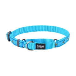 Red Dingo Martingale Dog Collar Bumble Bee Turquoise