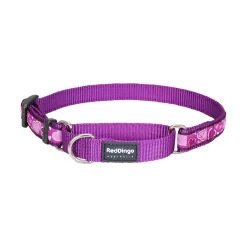 Red Dingo Martingale Dog Collar Breezy Love Purple