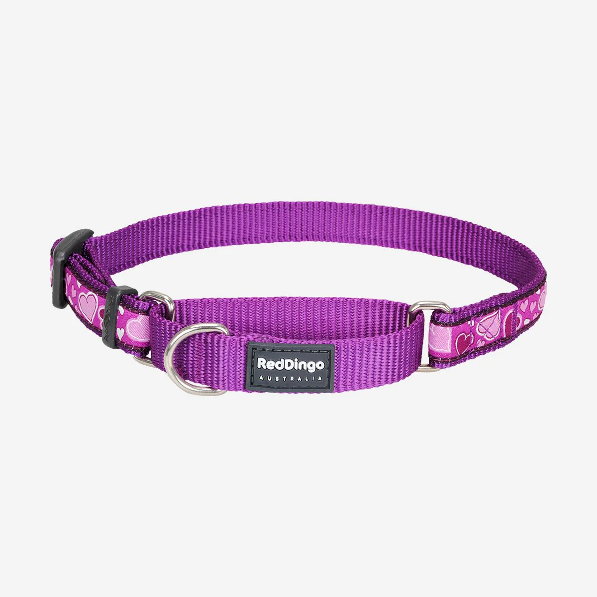 Red Dingo Martingale Dog Collar Breezy Love Purple - Image 4