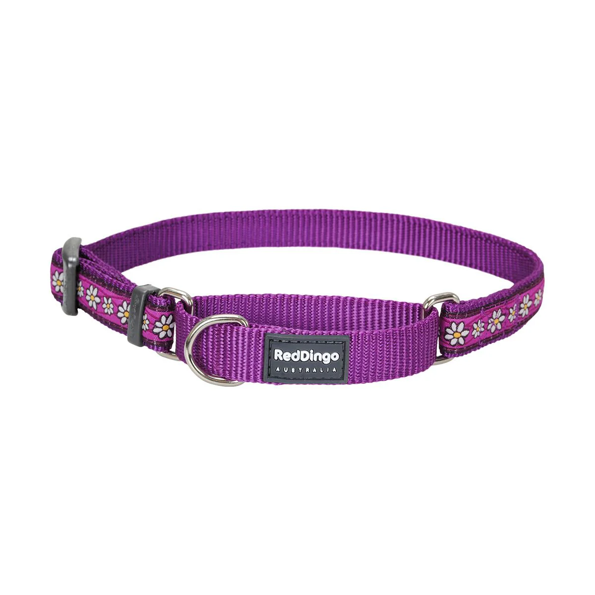 Red Dingo Martingale Dog Collar Daisy Chain Purple - Image 12