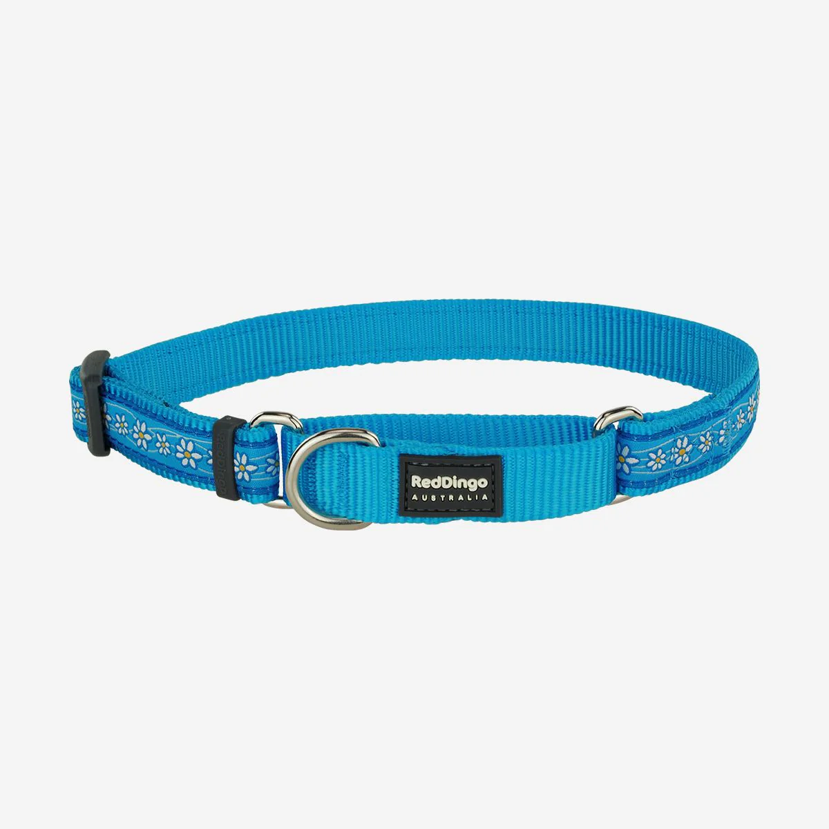 Red Dingo Martingale Dog Collar Daisy Chain Turquoise - Image 7