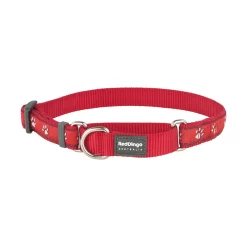 Red Dingo Martingale Dog Collar Desert Paws Red