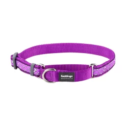 Red Dingo Martingale Dog Collar Flying Bones Purple