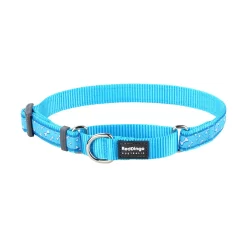Red Dingo Martingale Dog Collar Flying Bones Turquoise