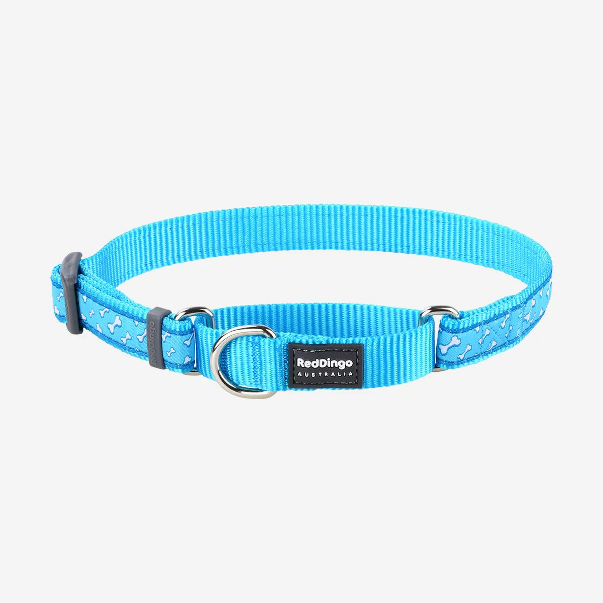 Red Dingo Martingale Dog Collar Flying Bones Turquoise - Image 7