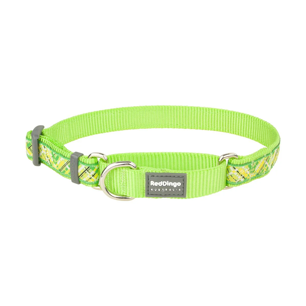 Red Dingo Martingale Dog Collar Flanno Lime Green - Image 12