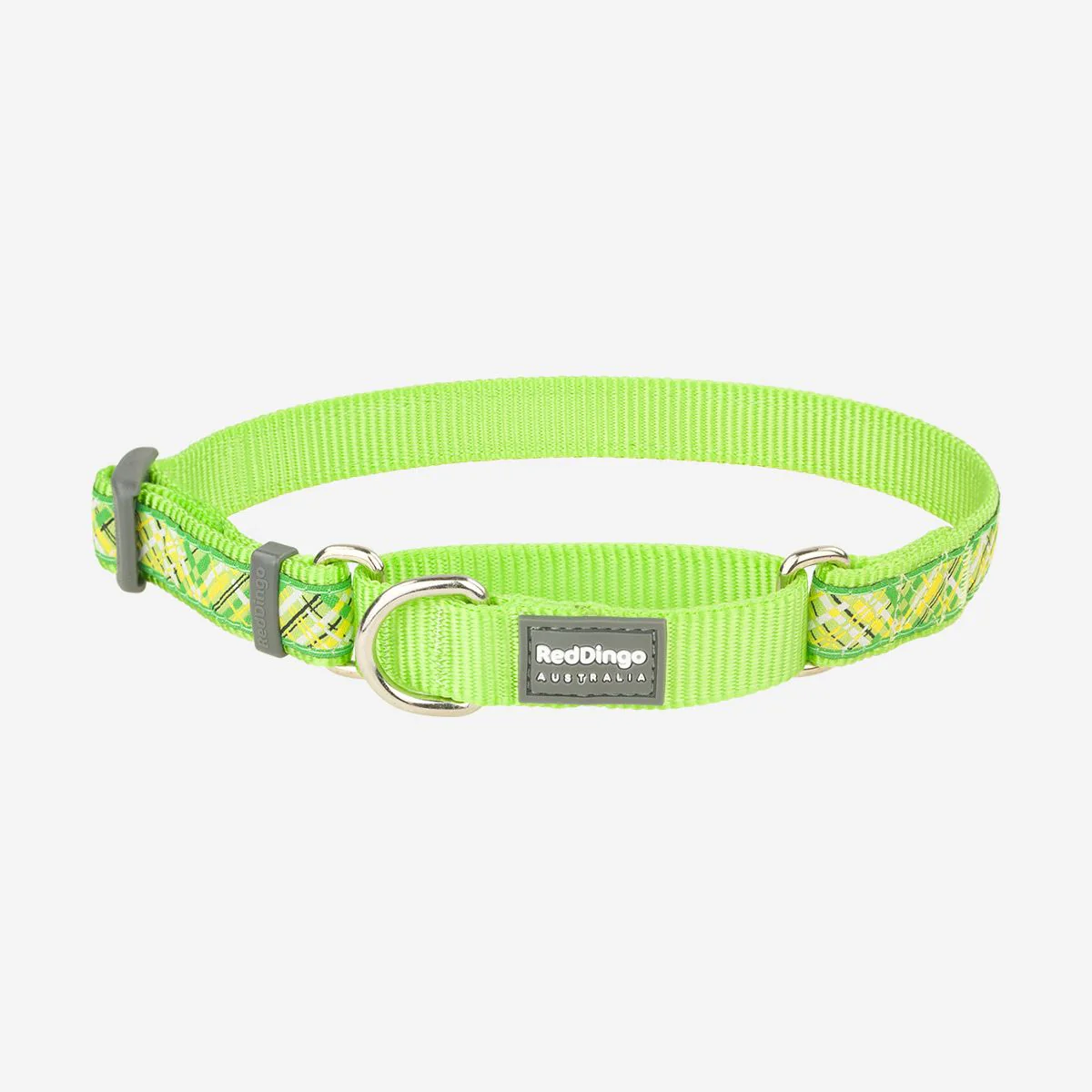 Red Dingo Martingale Dog Collar Flanno Lime Green - Image 13