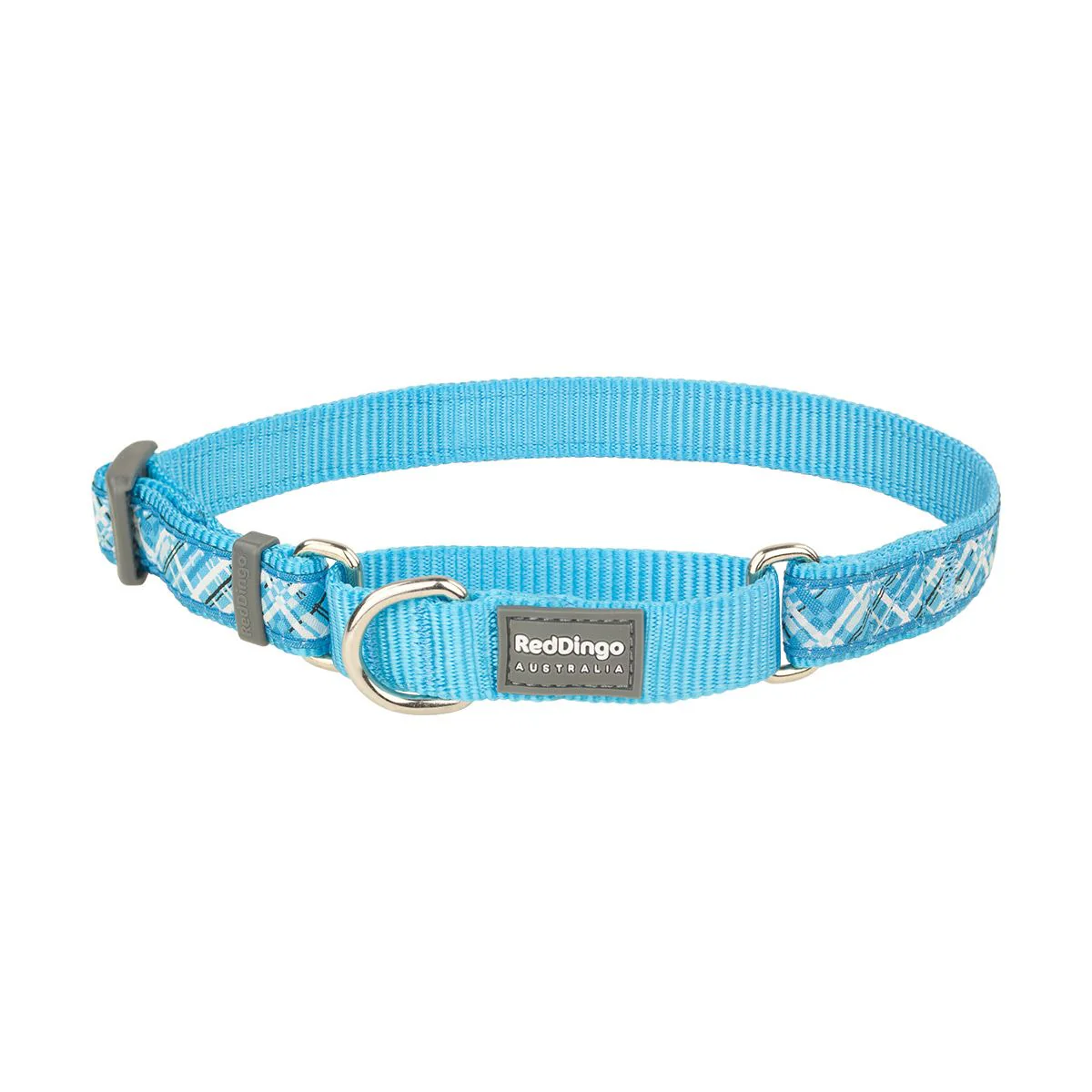 Red Dingo Martingale Dog Collar Flanno Turquoise - Image 9