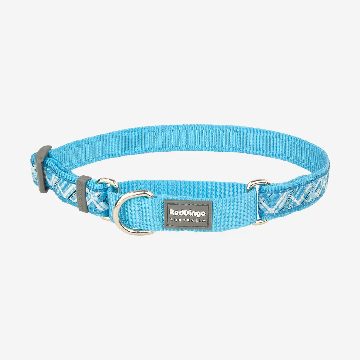 Red Dingo Martingale Dog Collar Flanno Turquoise - Image 7